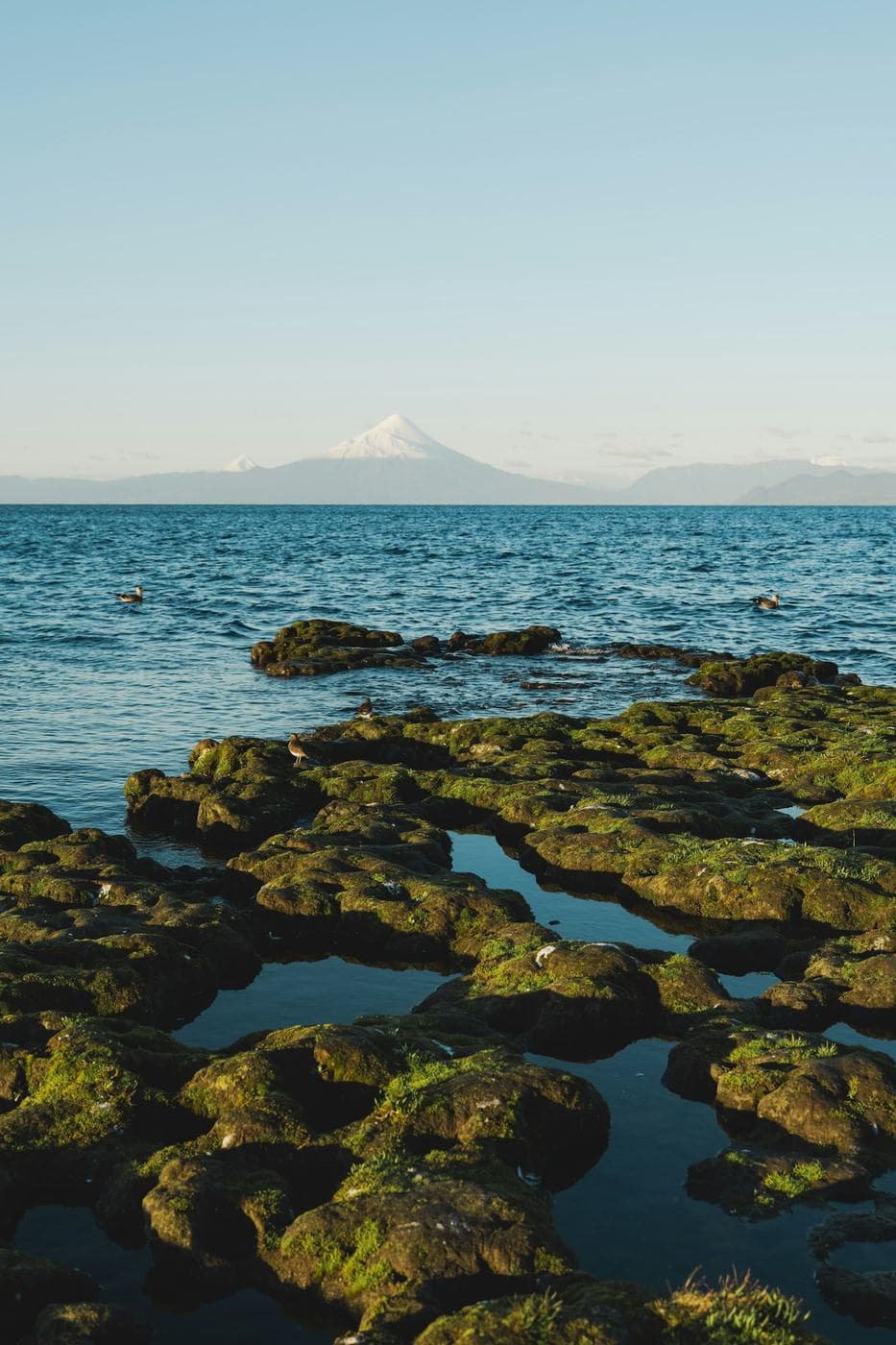 Orilla del lago Llanquihue al atardecer